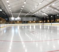 fcgm_arena250-250×220