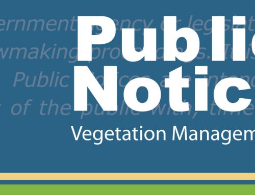 Public Notice: Vegetation Management – Blue Ridge Lumber INC.